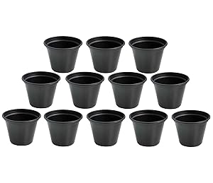Novicz Plant Pot (Black, Pack of 12)