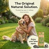Dog Rocks Urine Patch Preventer 200g Natural Pet Water Filter Grass Repair view 4