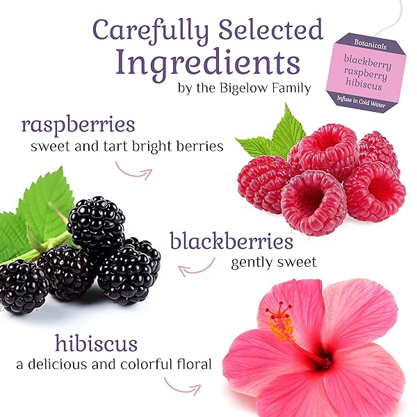 BIGELOW BOTANICALS COLD WATER INFUSION BLACKBERRY RASPBERRY HIBISCUS HERBAL TEA, CAFFEINE FREE TEA WITH BLACKBERRY AND RASPBERRY FLAVOR, 18 COUNT BOX (PACK OF 6), 108 TOTAL TEA BAGS