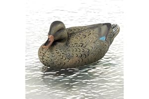 GIGYES Extremely Realistic Floating Duck Decoys for Pool, Pond & Lake with Weighted Keels, 13 Inch Small Mallard Duck Decoy
