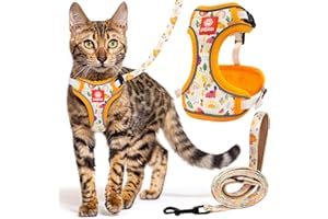 Petgrove Cat Harness and Leash Set for Walking, Escape Proof Vest Harnesses for Cats, Breathable Mesh with Reflective Strips - (Modern Cat), XX-Small