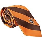 Desert Cactus Bowling Green State University Neck Tie BGSU Falcons 100% Polyester Necktie with Logo, Officially Licensed (Style A)