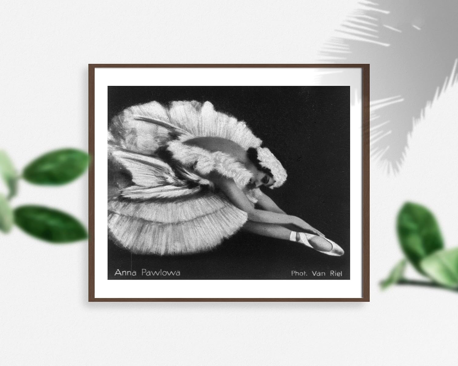 Photographs - INFINITE PHOTOGRAPHS Photo: Anna Pavlova, 1881-1931, Russian ballerina, The Dying Swan 4