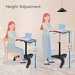 EHO Mobile Laptop Standing Desk Carts on Wheels