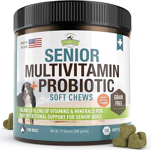 dog water treadmill therapy