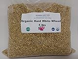 Hard White Wheat Berries 5 Pounds Kernels Montana