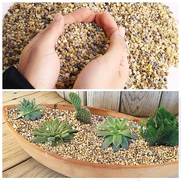 NATURAL COARSE SAND,ROCKS FOR PLANTS,DECORATIVE STONES,AQUARIUM SAND,SUCCULENTS AND CACTUS BONSAI DIY PROJECTS ROCKS,PEBBLES FOR INDOOR PLANTS,GRAVEL(STONES SIZE:3~5 MM) 1 LB
