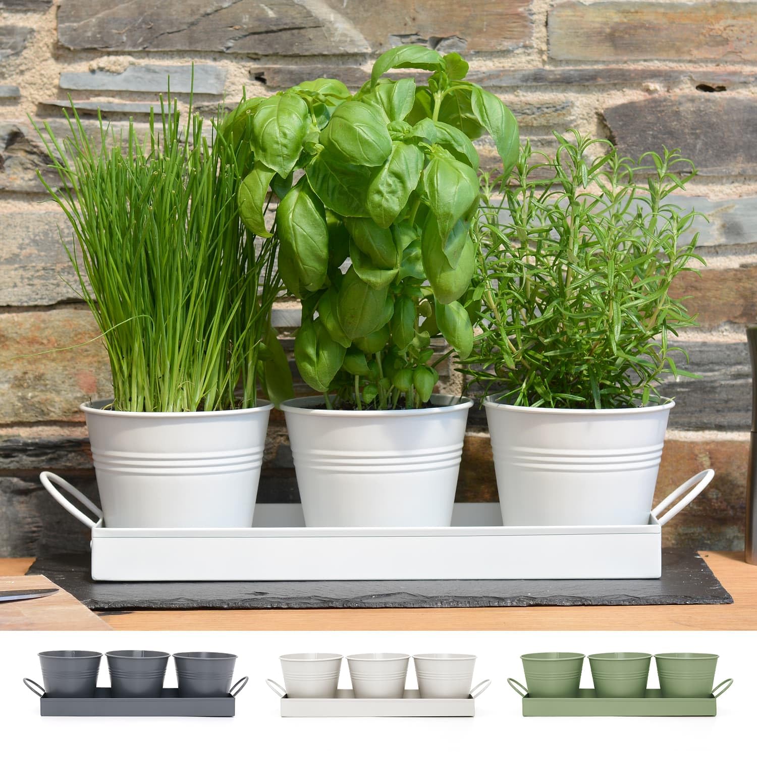 CKB LTD Set of 3 Metal Herb Plant Pots with Drip Tray Traditional Indoor Windowsill Coloured Planter Box for The Kitchen Grow Your Own Herbs for Cooking (White)