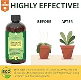 GardenNova Premium Liquid Monstera Fertilizer 3-1-2 8oz Indoor Plant view 2