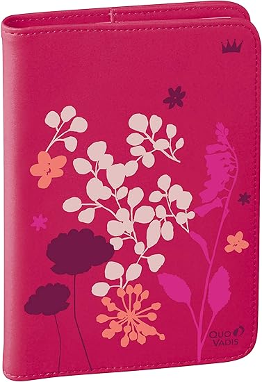 Quo Vadis Robert Le Heros Ministre Toile Agenda Civil Semainier 16x24cm Argent Annee 2019 Amazon Fr Fournitures De Bureau