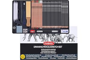 PANDAFLY Drawing Sketching Pencil Set, 42 Pack Pro Art Pencil Kit with Graphite Pencils (14B-4H), Charcoal Pencil, Ideal for Shading, Blending, Drawing Set for Beginners & Pro Artists