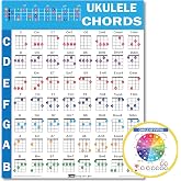 QMG Ukulele Chords Cheatsheet &ndash; Laminated A4 Music Theory Chart with Circle of Fifths for Beginners
