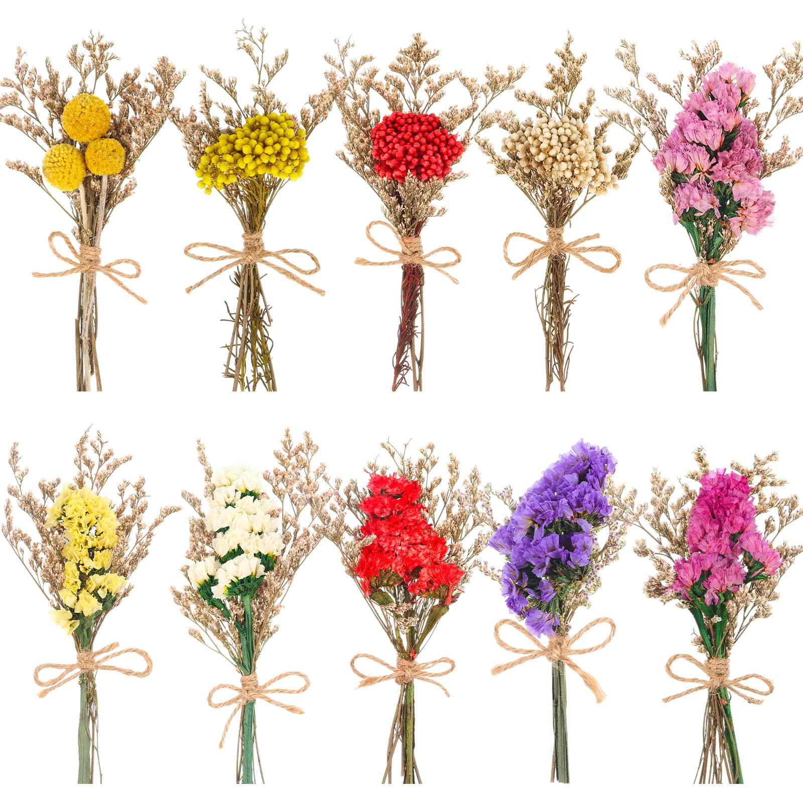 Photo 1 of 10 Pack Forget Me Not Dried Flowers Bouquets Natural Dry Flower with Stem Mini Dried Embossing Flower Dry Floral Arrangement for Vase, Crafts, Table Centerpieces, DIY, Photo Prop, Wedding, Home Decor