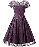 Little Hunter Women's Lace Dresses Vintage Short Sleeve Cocktail Swing Dress