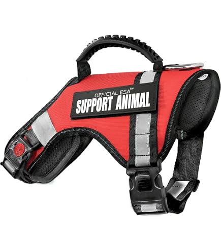 TailWag Planet Service Hund Aufnäher – Bestickt, Mit Klett, 'Assistance Dog Do Not Distract'