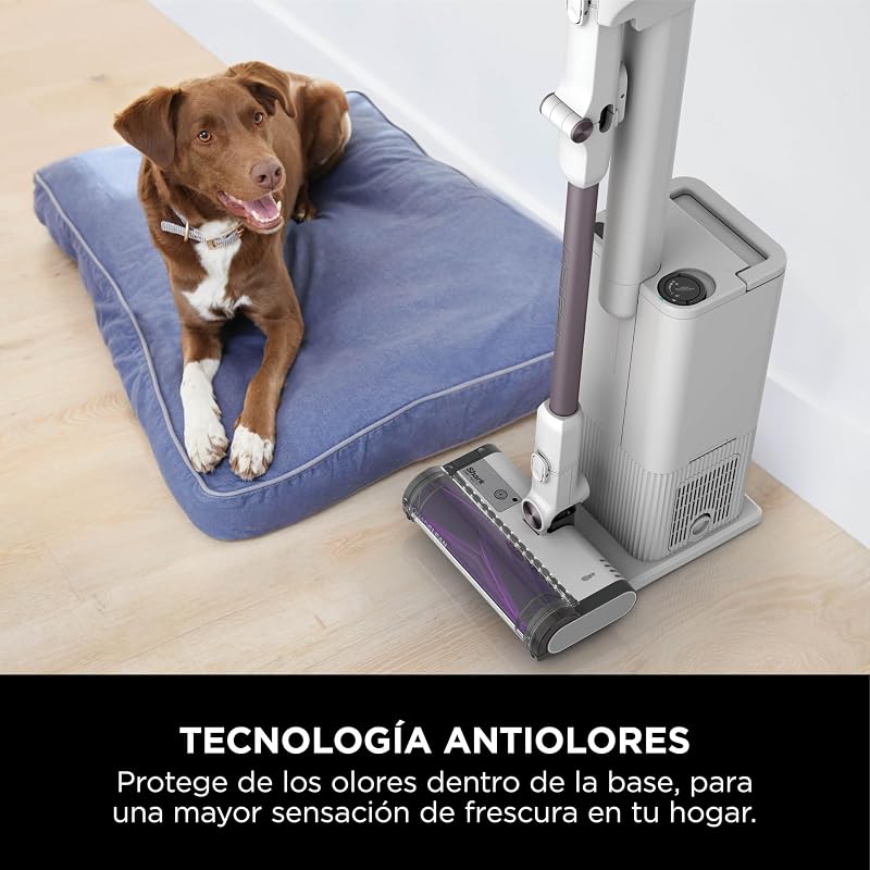 Aspirador Detect Clean & Empty sem fios e sem saco, tecnologia de deteção de sujidade e base auto-esvaziante de 2 l, autonomia em 60 min, Anti Hair Wrap e bico e escova estreitos, branco, IW3613EUT