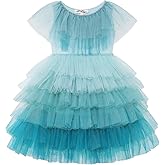 Tutuland Tutu Dress for Girls - Embroidered Tulle Tiered Layered Flower Toddler Dress for Wedding & Birthday
