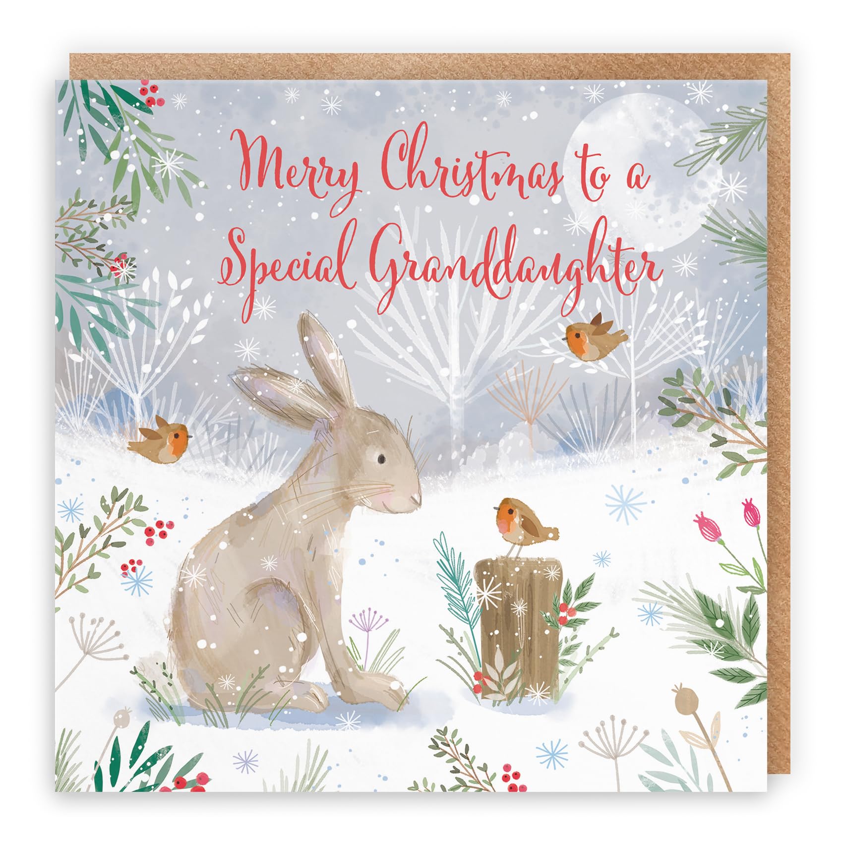 Hunts England - Granddaughter Cute Hare Christmas Card - Nature's Treasures - For Girl, Woman - Happy Animal Wildlife Cute Merry Xmas Card - Robins And Snow - From Grandma, Grandad, Grandparents