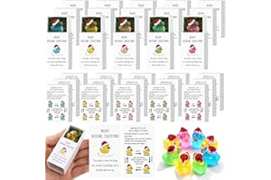 Lot de 25 cadeaux de Noël pour employés - Cadeaux de remerciement pour collègues, cadeaux de remerciement - Canards en résine