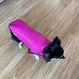Mile High Life Dog Raincoat Adjustable Water Proof Reflective Stripe S Pink view 7