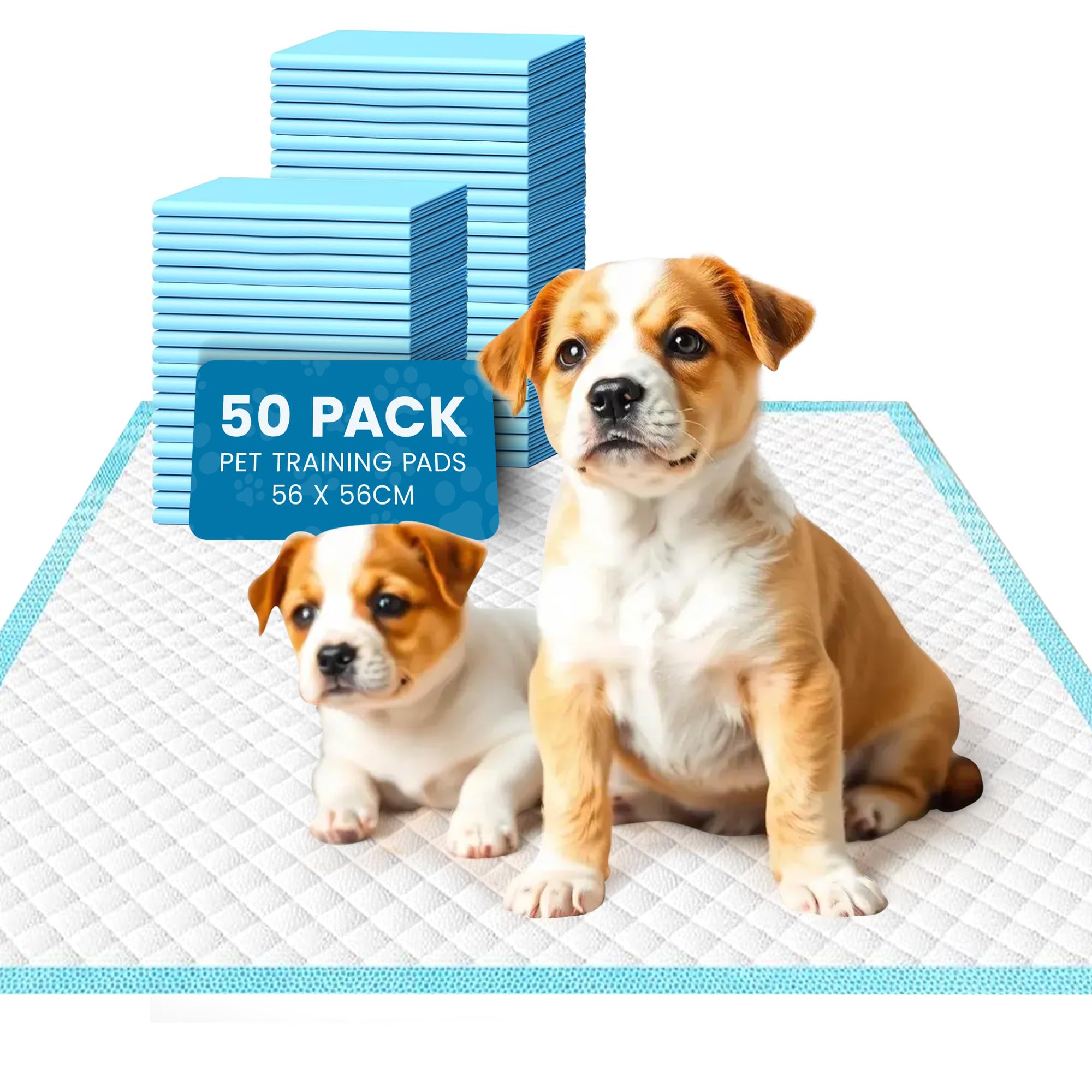 Cool Paws Puppy Pads – 50 Pack Medium Puppy Training Pads, Ultra-Absorbent & Leak-Proof Dog Wee Toilet Mats for House Training, Incontinence & Pee Protection