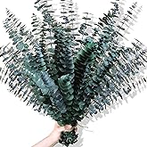 30Pcs Dried Eucalyptus Stems, 17" Real Preserved Eucalyptus Plant for Shower, Fresh Natural Branches for Vase, Eucalyptus Bun