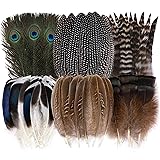 Holmgren 48pcs Natural Feathers Bulk - 6 Styles