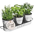 Barnyard Designs Indoor Herb Garden Planter Set with Tray, Metal Windowsill Plant Pots with Drainage for Outdoor or Indoor Plants, Set/3 (Galvanized)