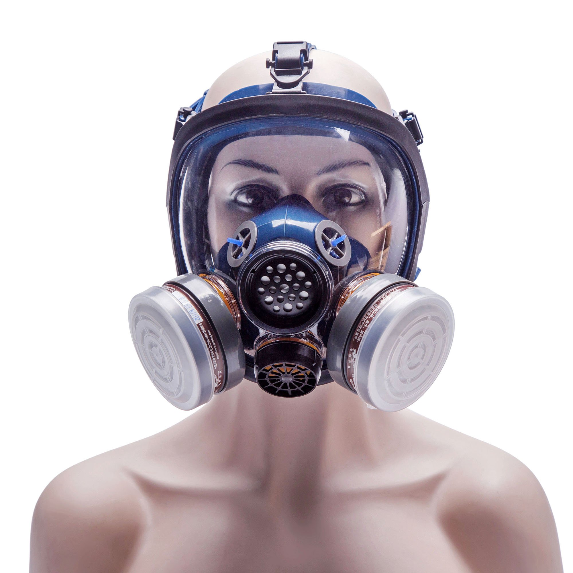 Holulo Organic Vapor Full Face Mask Protection Paint Chemical Formaldehyde Anti Virus Full w