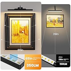 Dimmable Cordless Picture Light with Controller and
