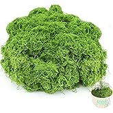 Hlmsyurx Fake Green Moss for Crafts.17.6OZ Decor Artificial Faux Moss for Potted Plants Indoor Mos Preserved for DIY Decorative, Table, Centerpieces Decor, Fairy, Garden, Floral, Wedding