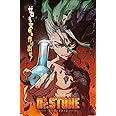 Trends International Dr. Stone - One Sheet Wall Poster, 22.37" x 34.00", Unframed Version