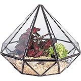 NCYP Octahedral Geometric Glass Terrarium Box Succulent Flower Pot Air Plants Planter Balcony Display Container Centerpiece for Coffee Table