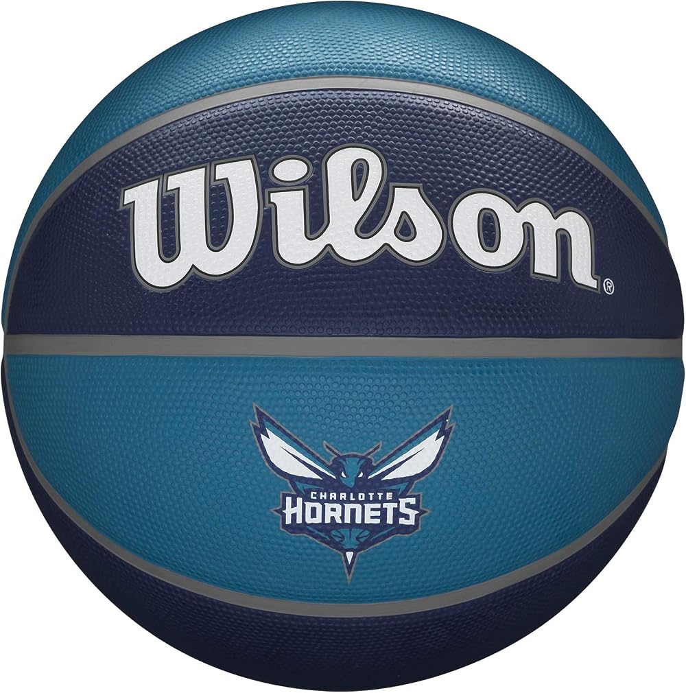 Wilson Basketball NBA Team Tribute Charlotte Hornets Size 7 Outdoor Rubber