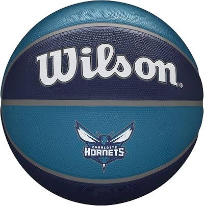 Wilson Basketball NBA Team Tribute Charlotte Hornets Size 7 Outdoor Rubber