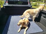 ULIGOTA Extra Large Washable Dog Pee Pad 165x121cm Non-Slip Waterproof Mat view 2