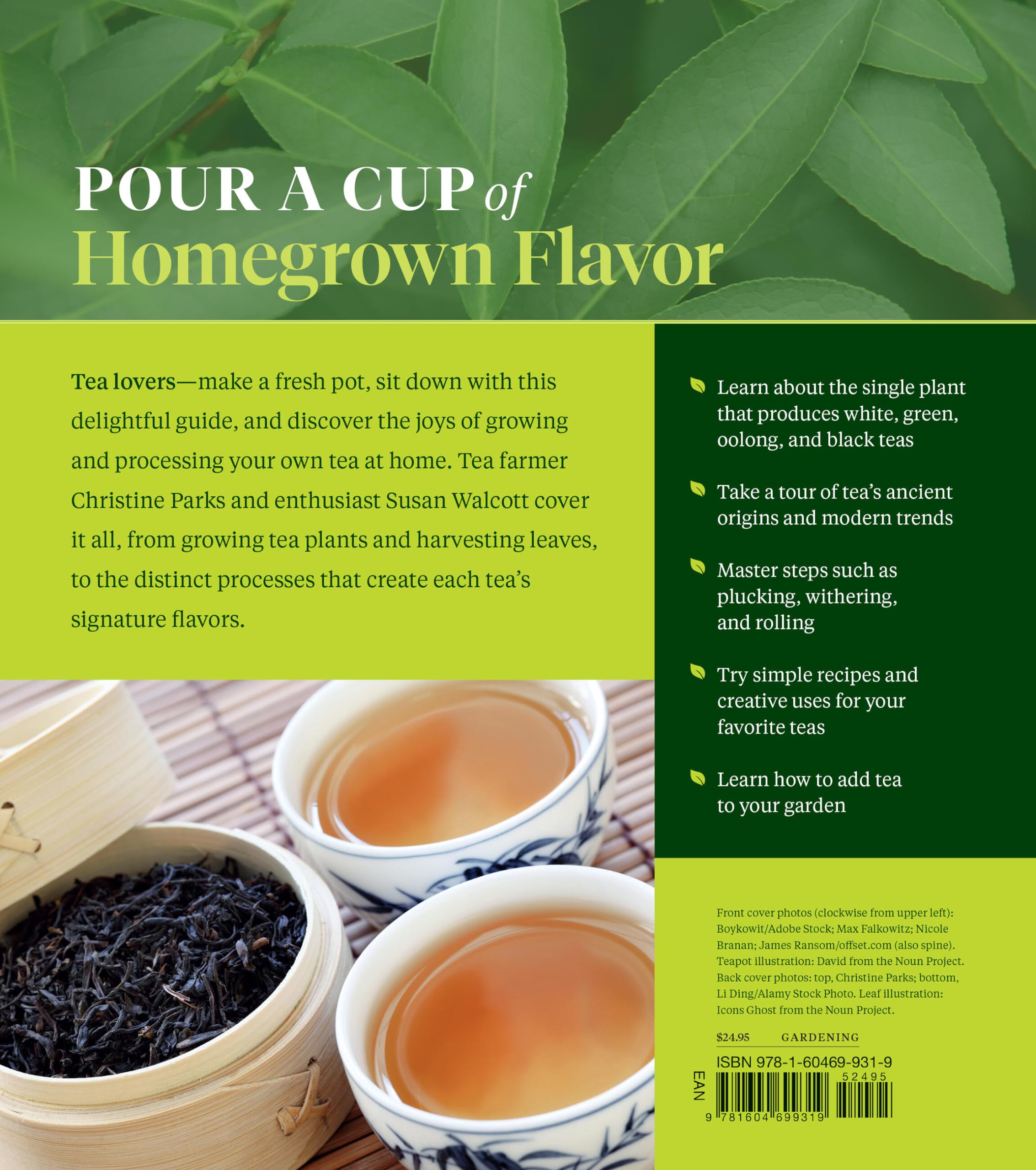 Grow Your Own Tea: The Complete Guide to Cultivating, Harvesting, and Preparing