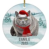 Santa Hat and Scarf Welcome Winter Grey British