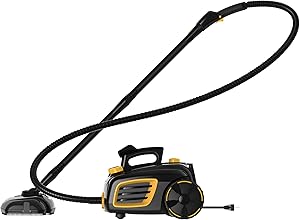 top rated home carpet steam cleaners