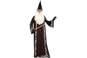Rubies Mr. Wizard Costume for Adults, Men's Standard