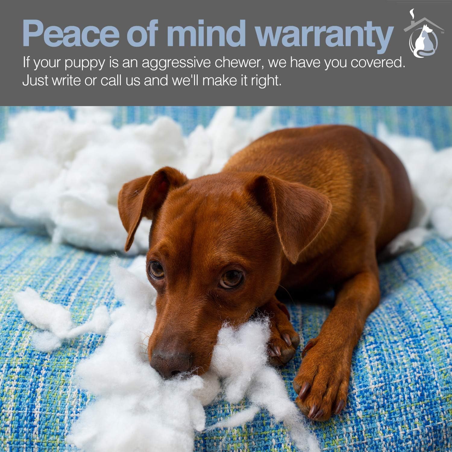 PetFusion Puppychoice Dog Crate Pad [Microsuede Cover, Solid Foam]. Water Resistant Cover/Liner & Removable Washable Cover. Replacement Covers & Blankets Also Avail. 1 Yr Warranty, Grey, M - 29 x 19 : Pet Supplies