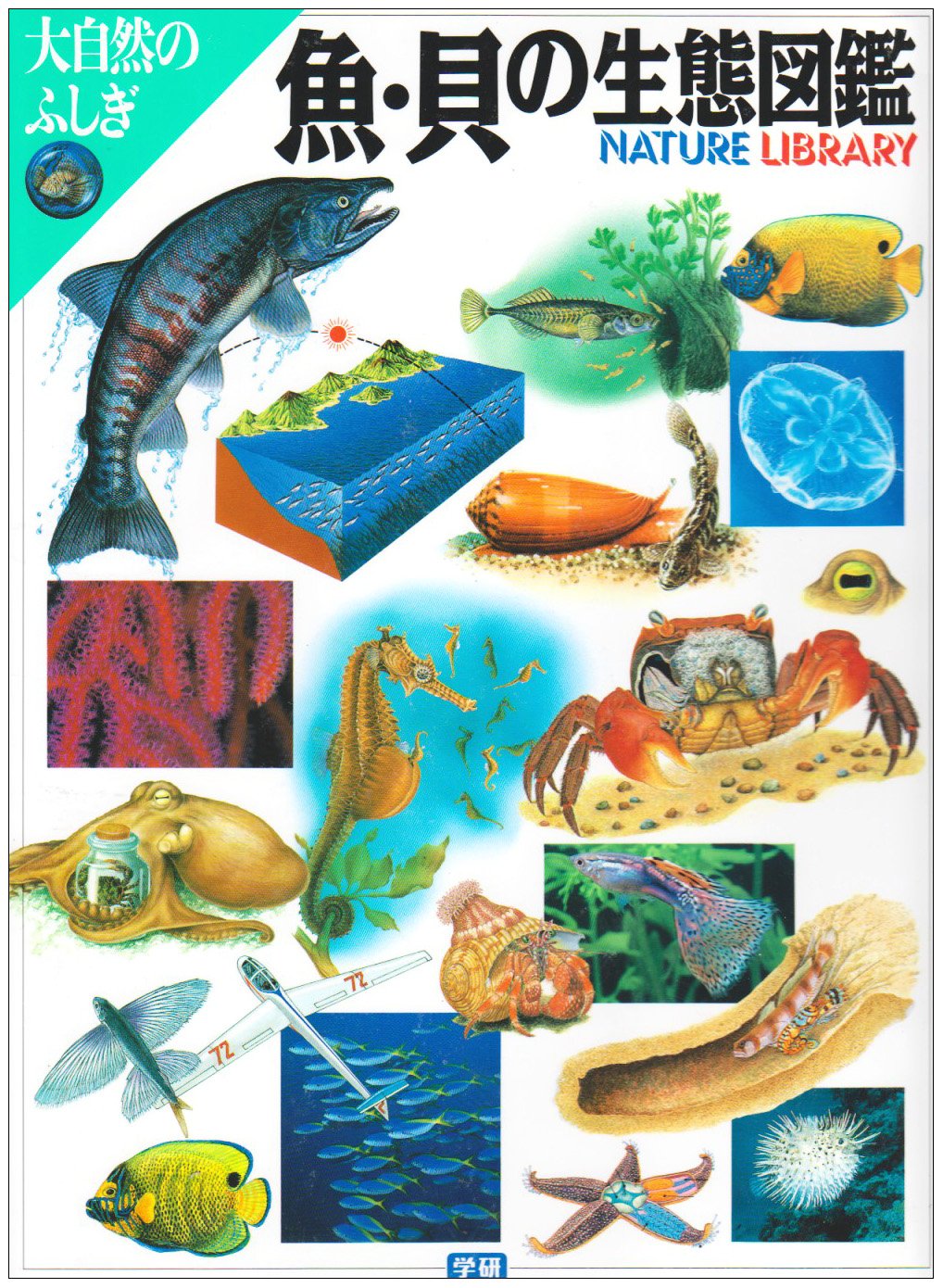 魚 貝の生態図鑑 大自然のふしぎ 本 通販 Amazon
