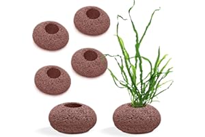 Stone Plant Weights for Aquarium Natural Rock Decorative Fish Tank Landscape Plant Weights 6 Pcs