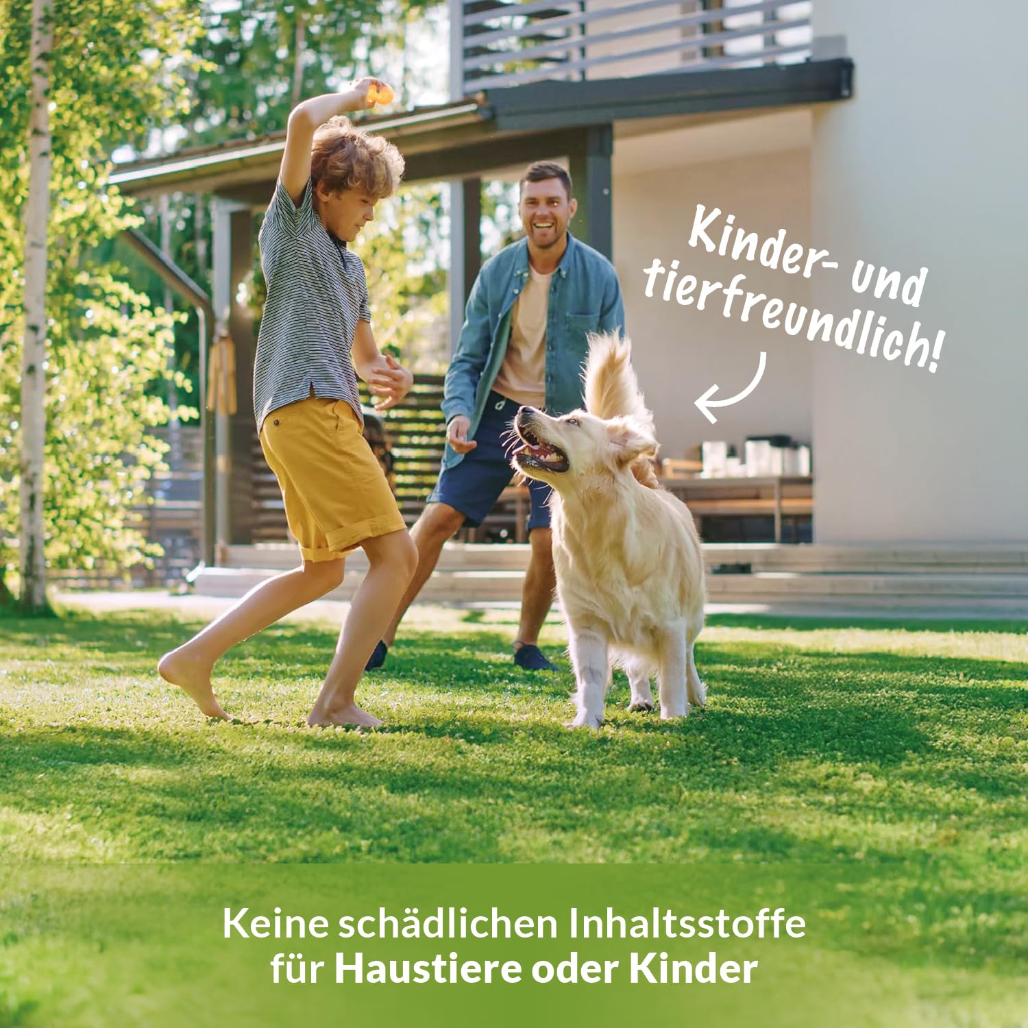 TerraDomi Rasendünger Sommer 20kg NPK 15-15-15 für 1000 m² 4
