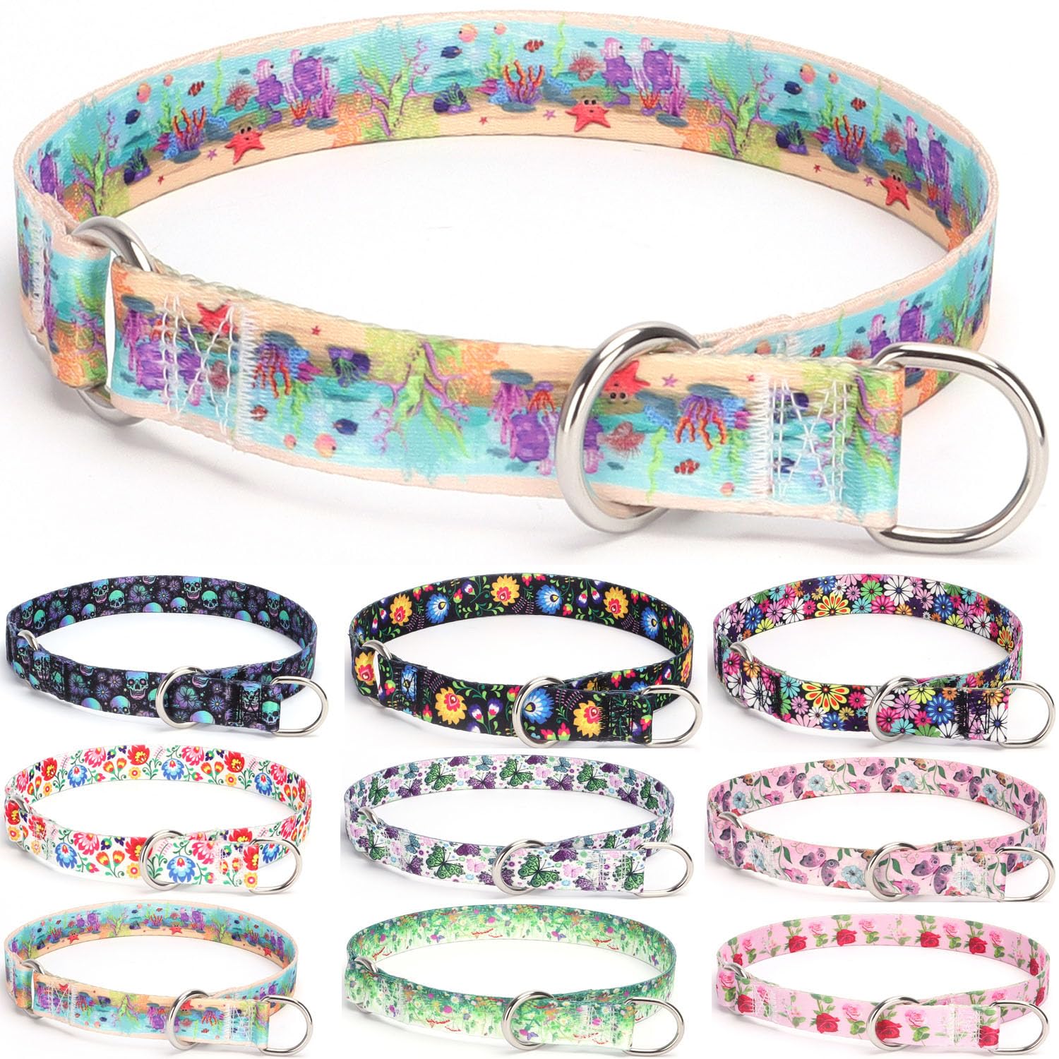 haoyueer Training Dog Collar, No Pull Martingale Collar, Slip Collar with Slidable Stop Ring for Small, Medium, Large Dogs (M, Ocean)