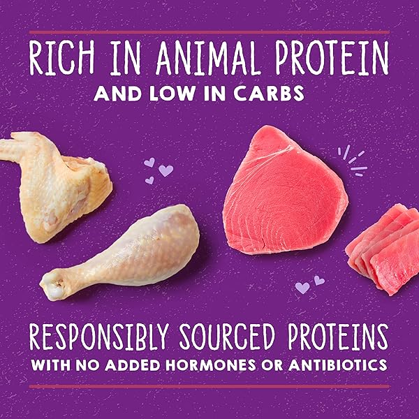 STELLA & CHEWY’S CARNIVORE CRAVINGS PURRFECT PATE CANS – GRAIN FREE, PROTEIN RICH WET CAT FOOD – CHICKEN & TUNA RECIPE – (2.8 OUNCE CANS, CASE OF 12)