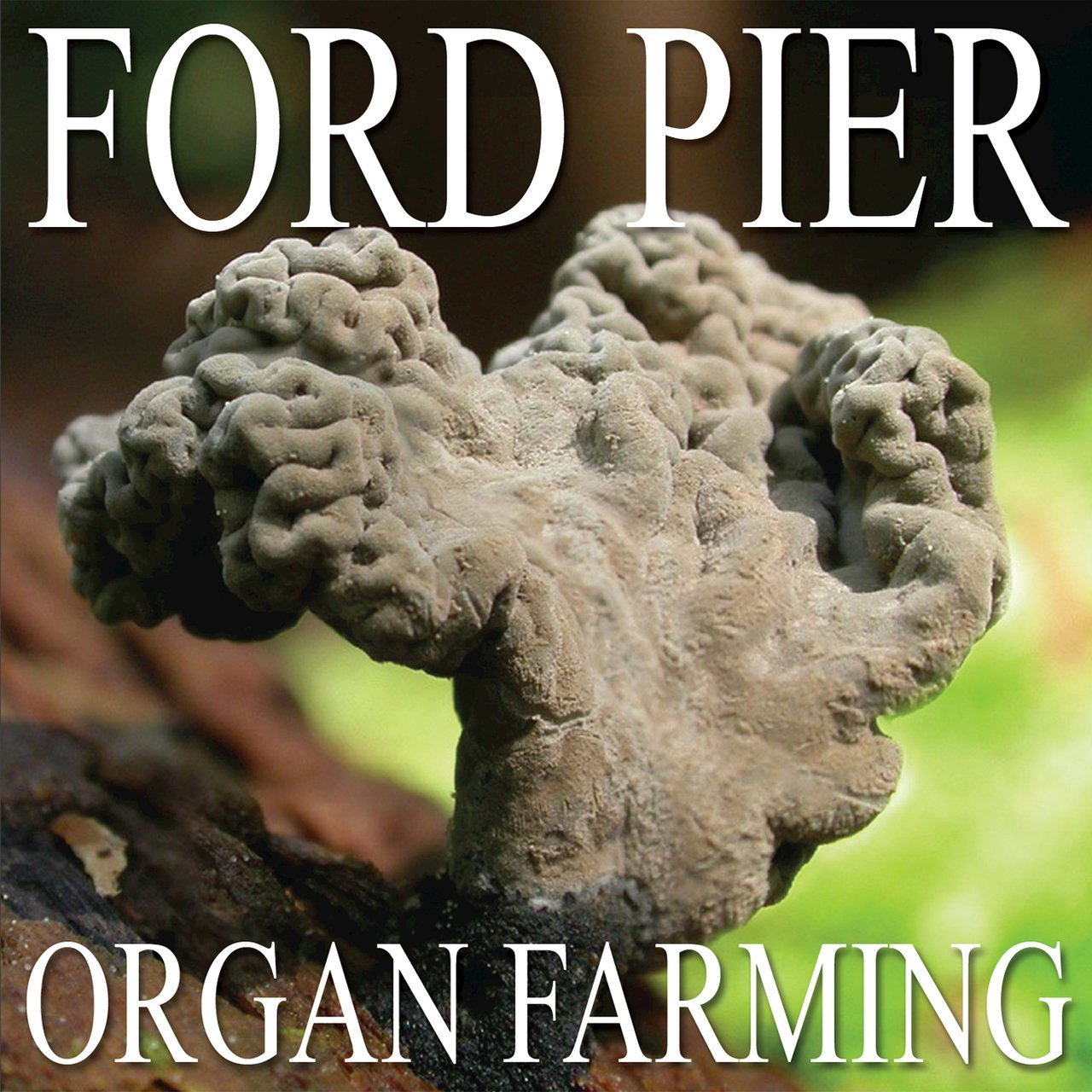 Organ Farming