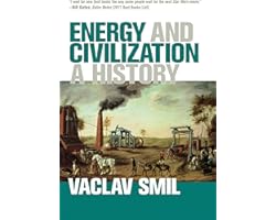 Energy and Civilization: A History (The MIT Press)
