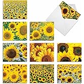 The Best Card Company - 10 Blank Note Cards with Flowers (4 x 5.12 Inch) - Floral Notecards, All Occasion Boxed Assortment - Sunny Side Up M6042