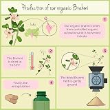 Vegavero Organic Bacopa Monnieri 1500 mg Brahmi 2% Bacosides 180 Tablets view 5